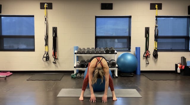 10 min Stability Ball Yoga