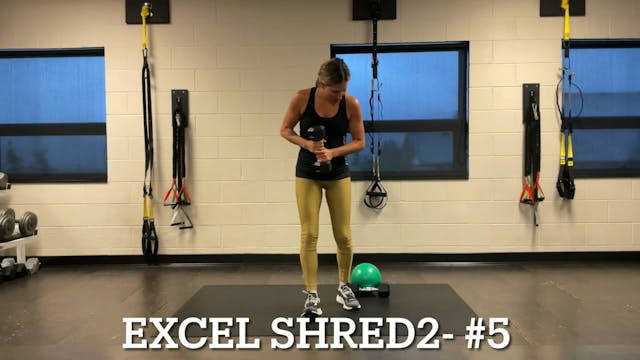 Excel Shred2 #5