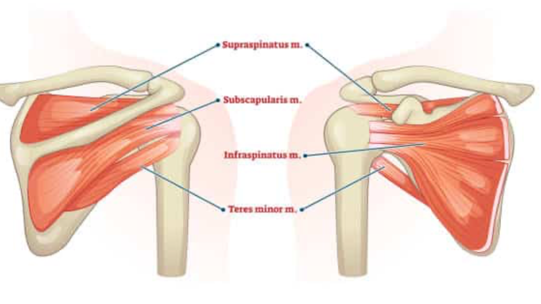 Shoulder Rehab Mini Band session