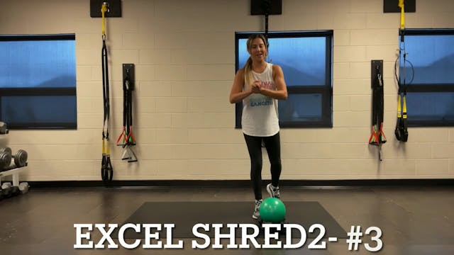 Excel Shred2 #3