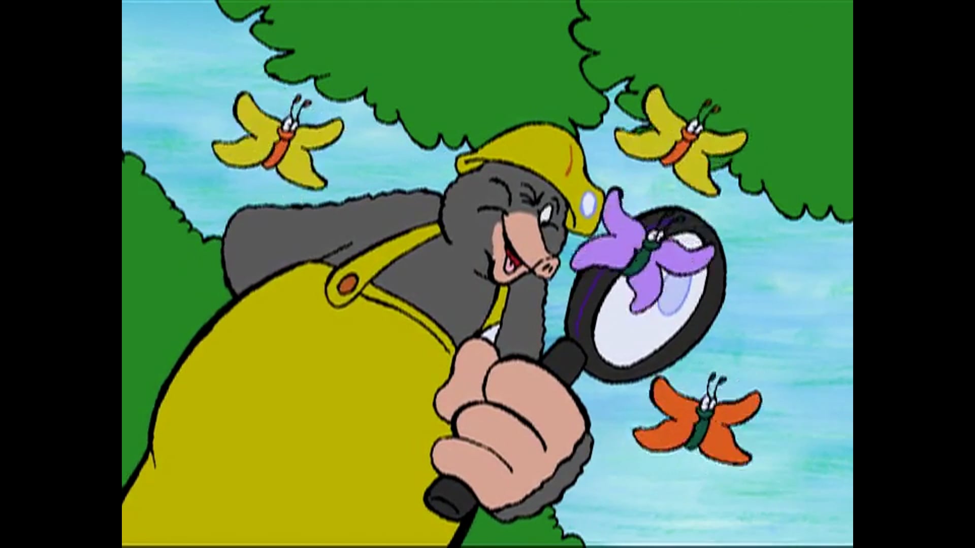 Coal and the Age of the Earth