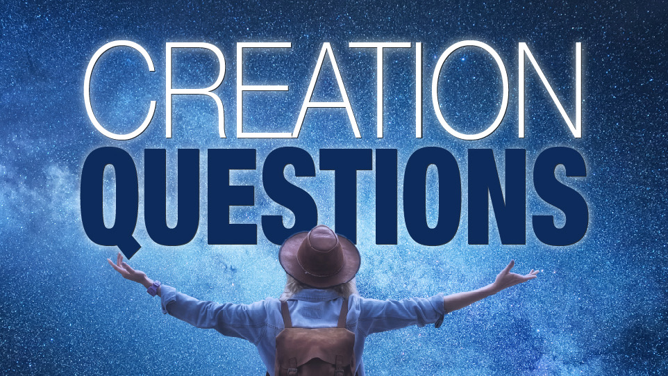 Creation Questions
