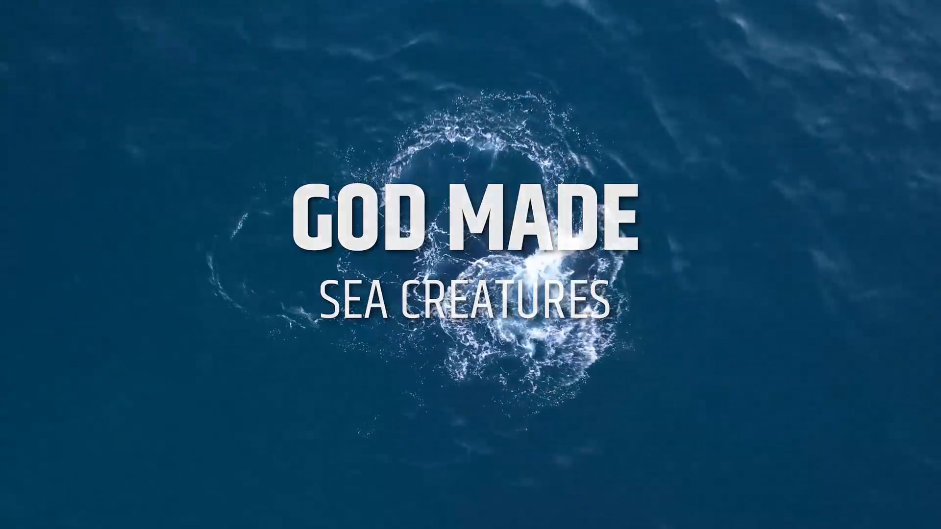 God Made Sea Creatures 