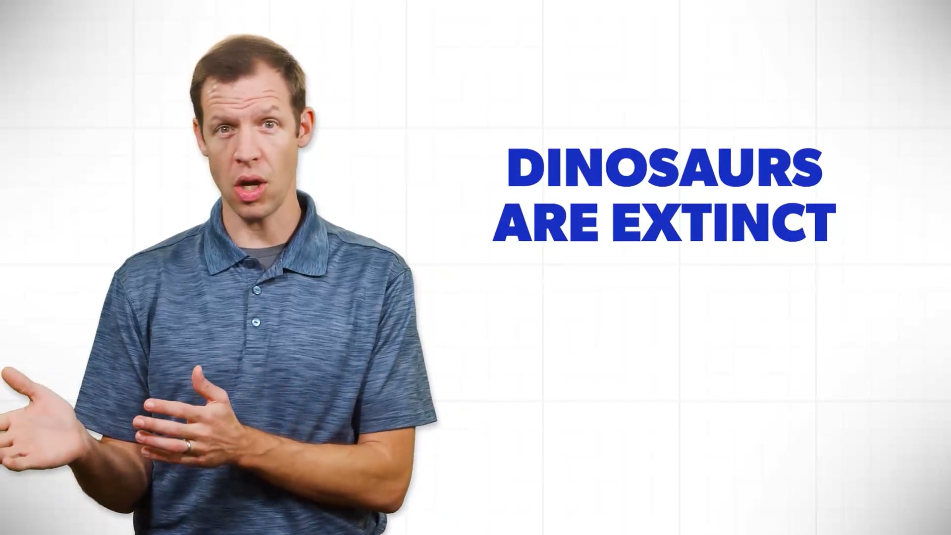 Where Did All the Dinosaurs Go?