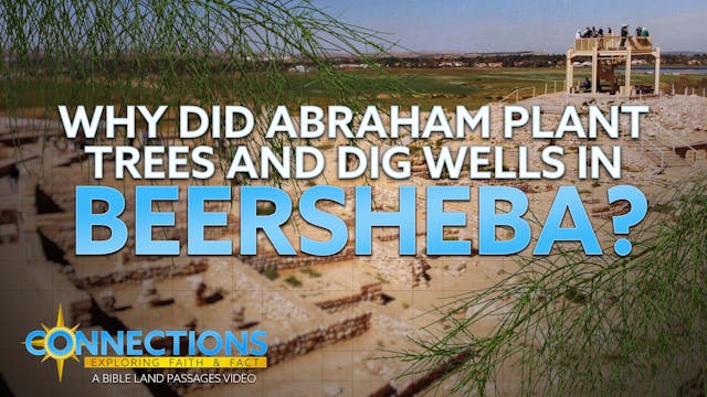 Why Did Abraham Plant Trees And Dig W...