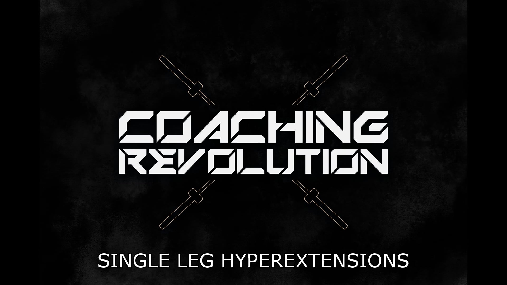 Single Leg Hyperextensions