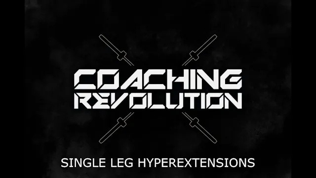 Single Leg Hyperextensions