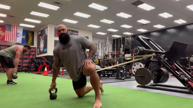 Hip Distraction Internal and External...