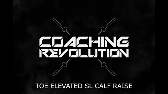 Toe Elevated SL Calf Raise