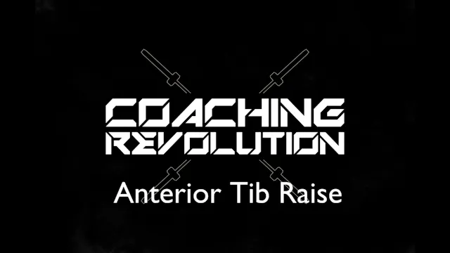 Anterior Tib Raise.mp4