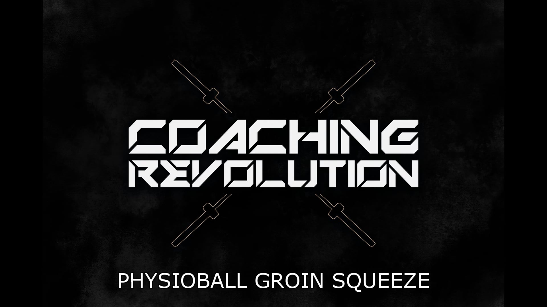 Physioball Groin Squeeze