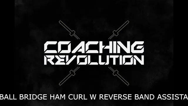 Fit Ball Bridge Ham Curl w Reverse Ba...