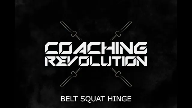 Belt Squat Hinge