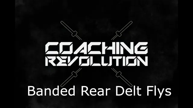 Banded Rear Delt Flys