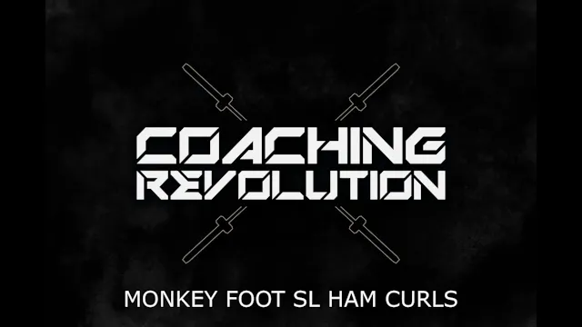 Monkey Foot SL Ham Curls