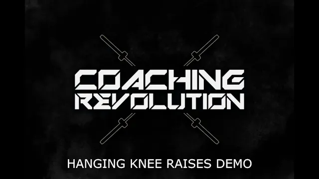 Hanging Knee Raises Demo