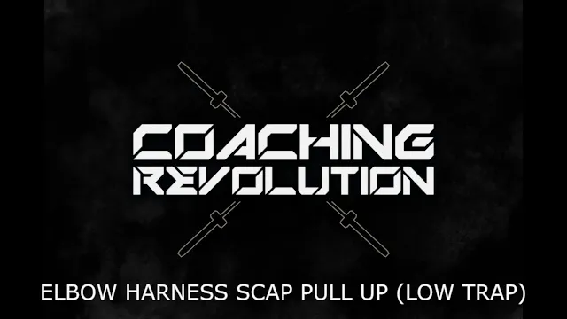 Elbow Harness Scap Pull up (low Trap)
