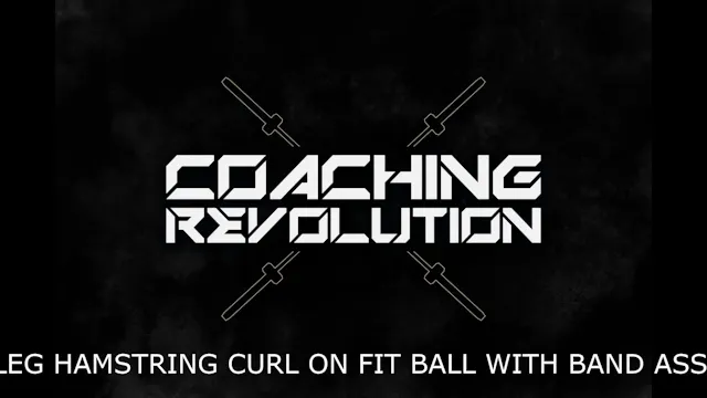 Single Leg Hamstring Curl on Fit Ball...
