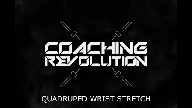 Quadruped Wrist Stretch