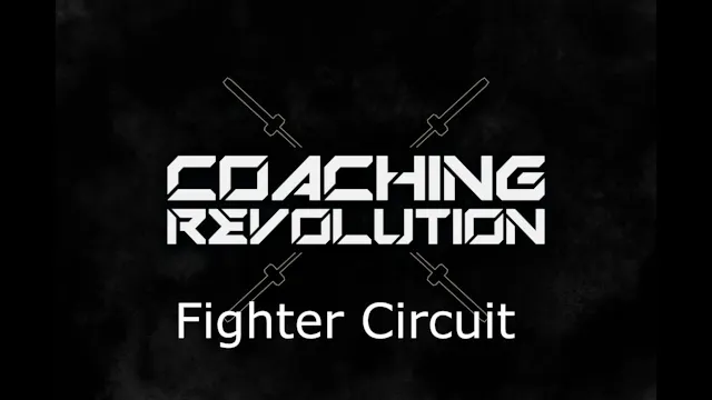 Fighter Circuit