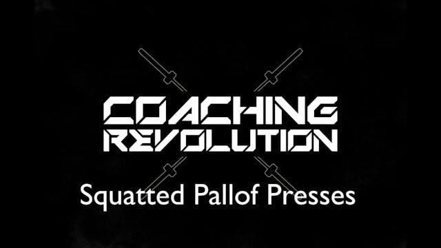 Squatted Pallof Presses.mp4