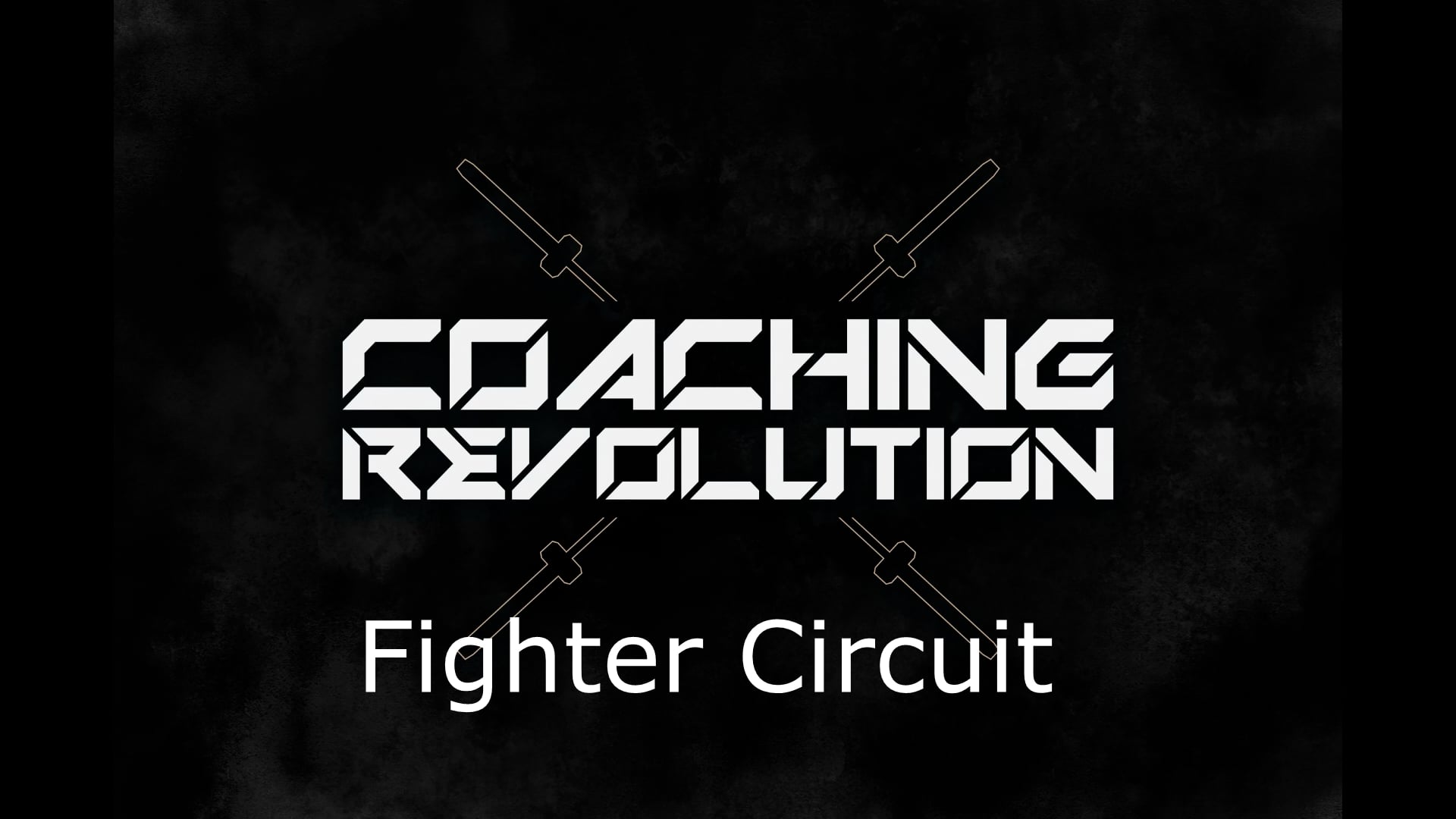 Fighter Circuit