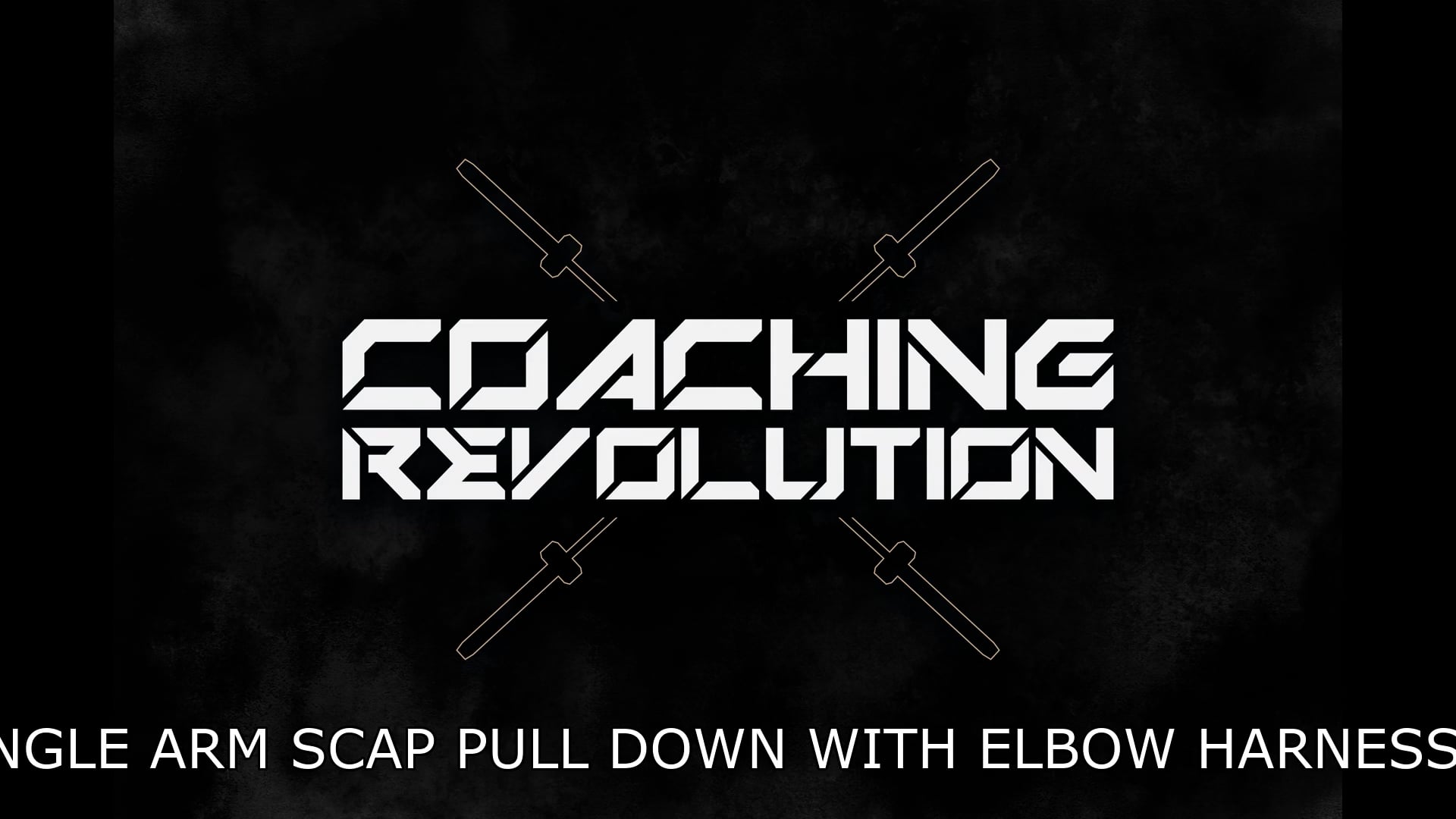 Single Arm Scap Pull Down With Elbow Harnesses