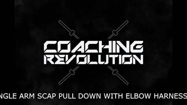 Single Arm Scap Pull Down With Elbow ...