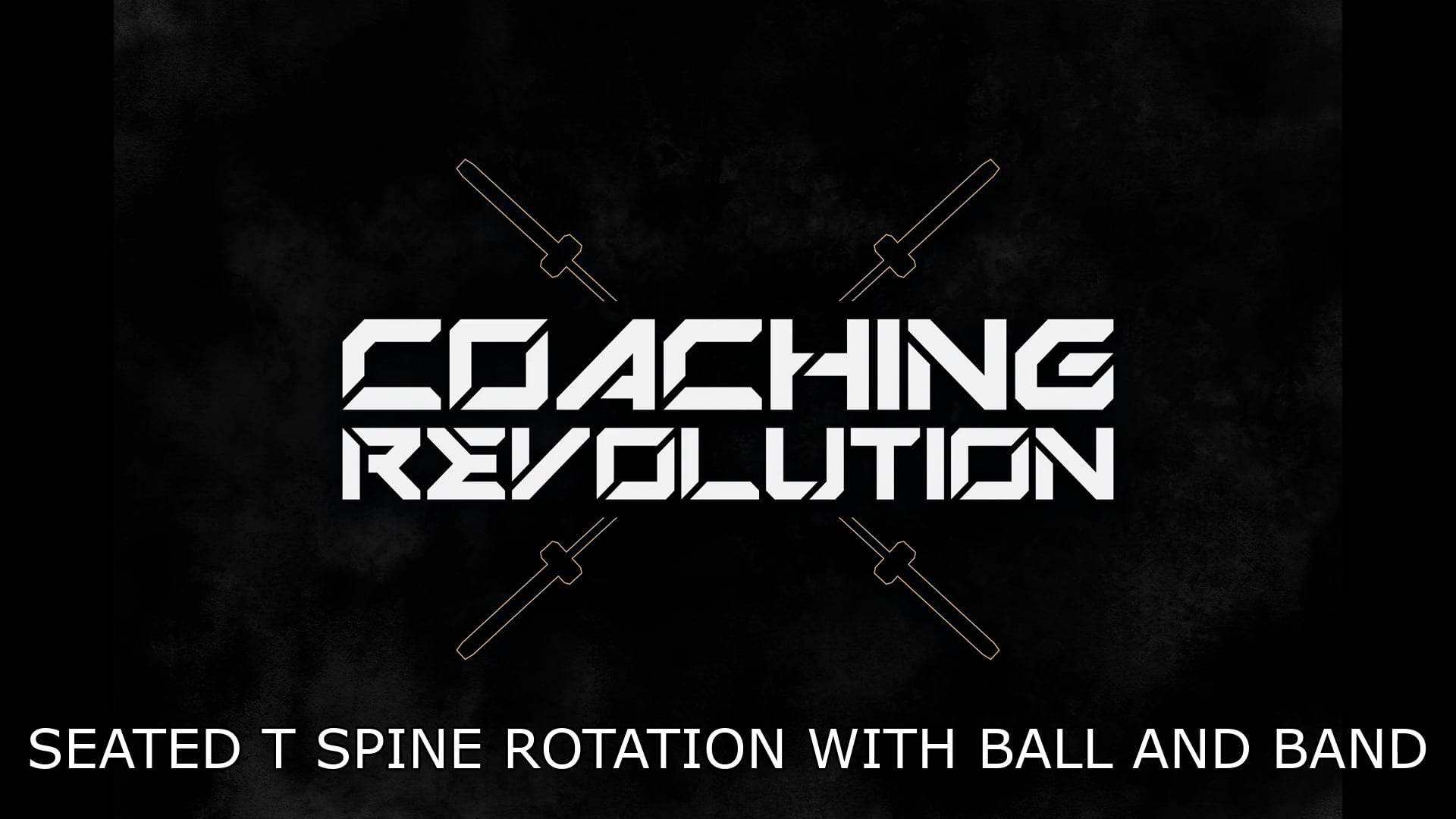 Seated T Spine Rotation With Ball and Band