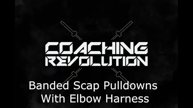 Banded Scap Pulldowns With Elbow Harness