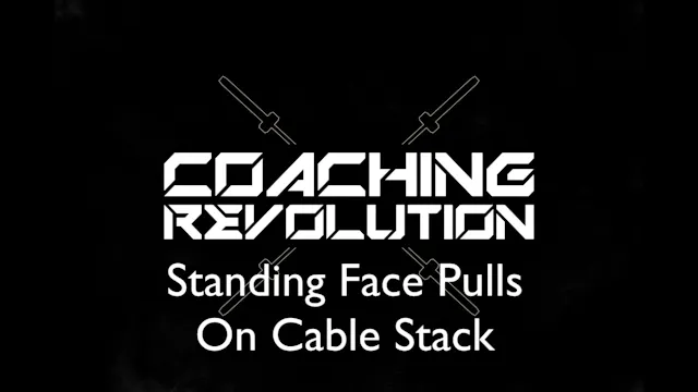 Standing Face Pulls On Cable Stack.mp4