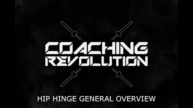 Hip Hinge General Overview
