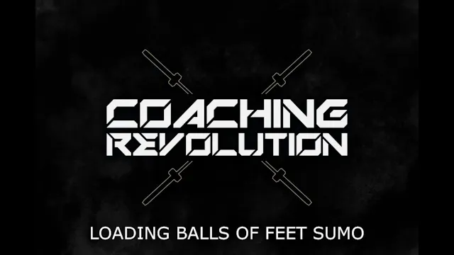 Loading Balls of Feet Sumo