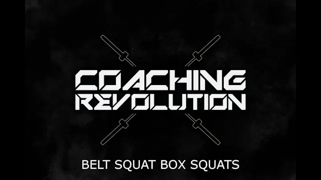 Belt Squat Box Squats