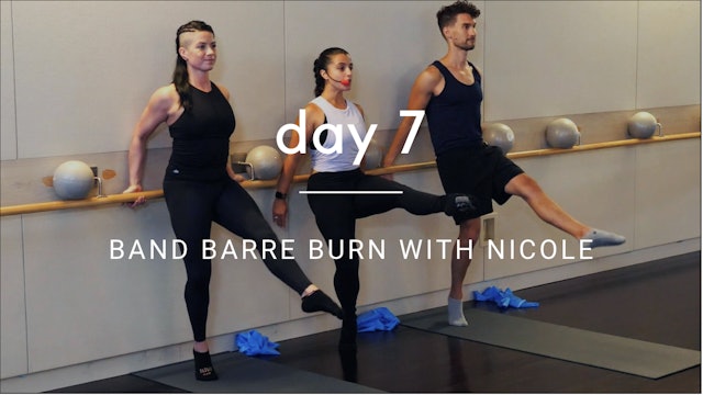Day 7: Band Barre Burn with Nicole