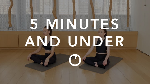 Meditation + Breathing in 5 Minutes and Under