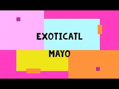 ExoticATL Mayo! DIY