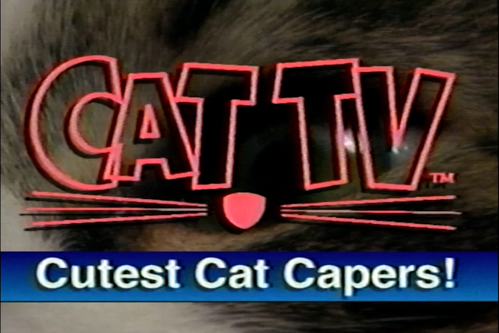 Cutest Cat Capers