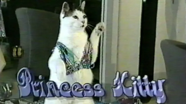 Incredible Cat Tricks with Princess K...