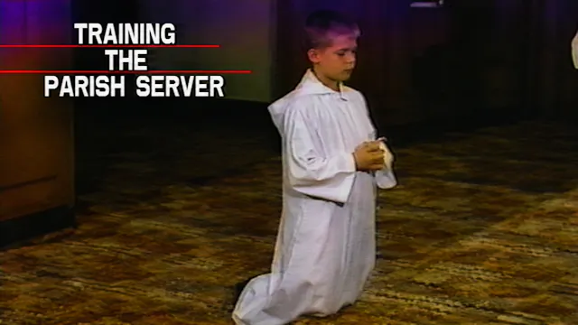 Training the Mass Server