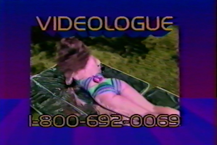 Videologue 1985