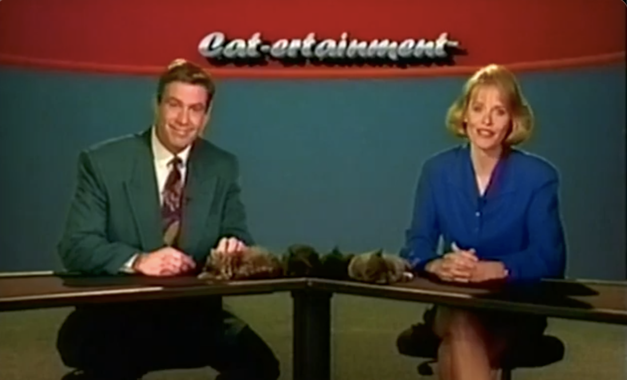 Cat-ertainment - Oh Those Crazy Cats!