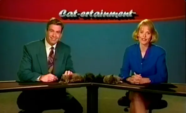 Cat-ertainment - Oh Those Crazy Cats!