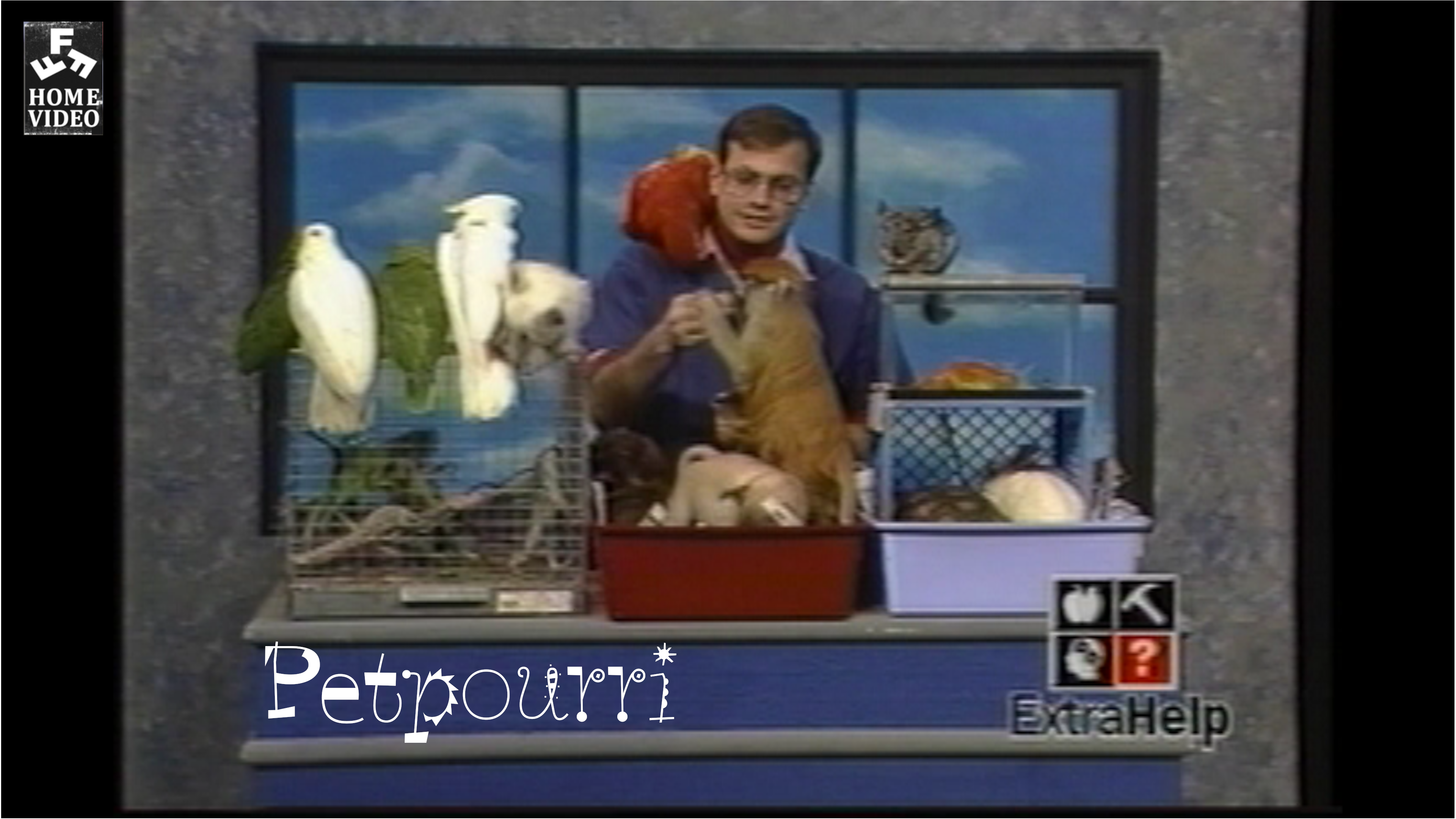Petpourri Montage