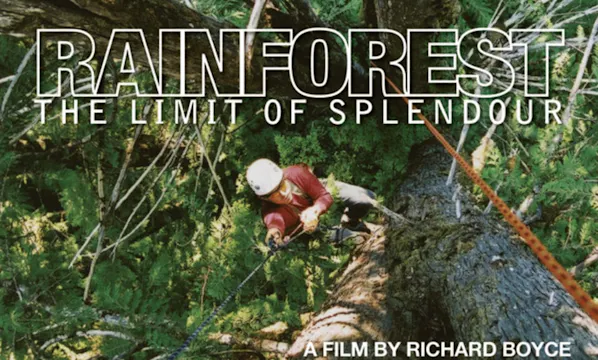 Rainforest: The Limit of Splendour