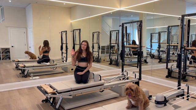 NEW Reformer With Nikki 