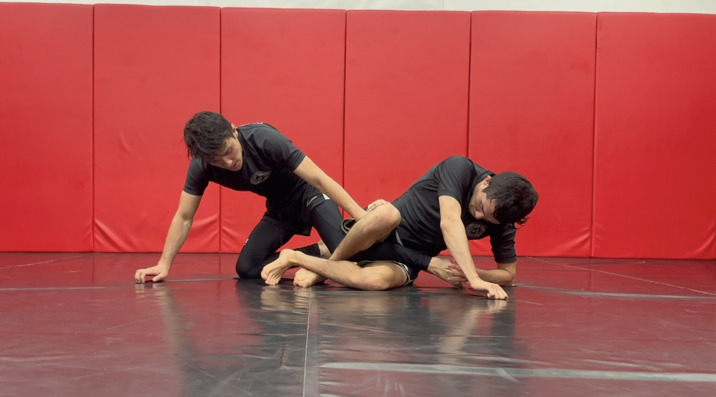 Advanced: Heel hook defense - early stage