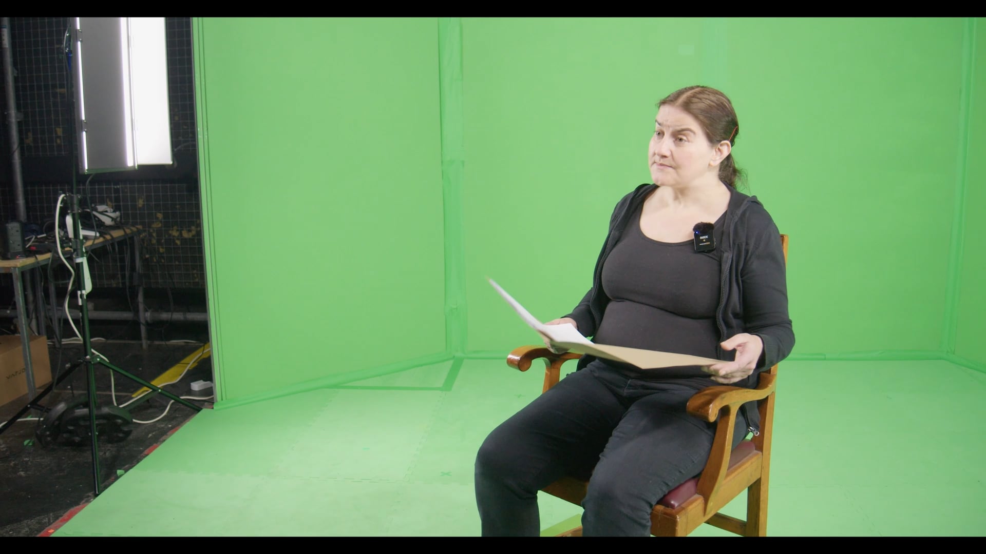 Descension (2025) - Marilyn Ann Bird