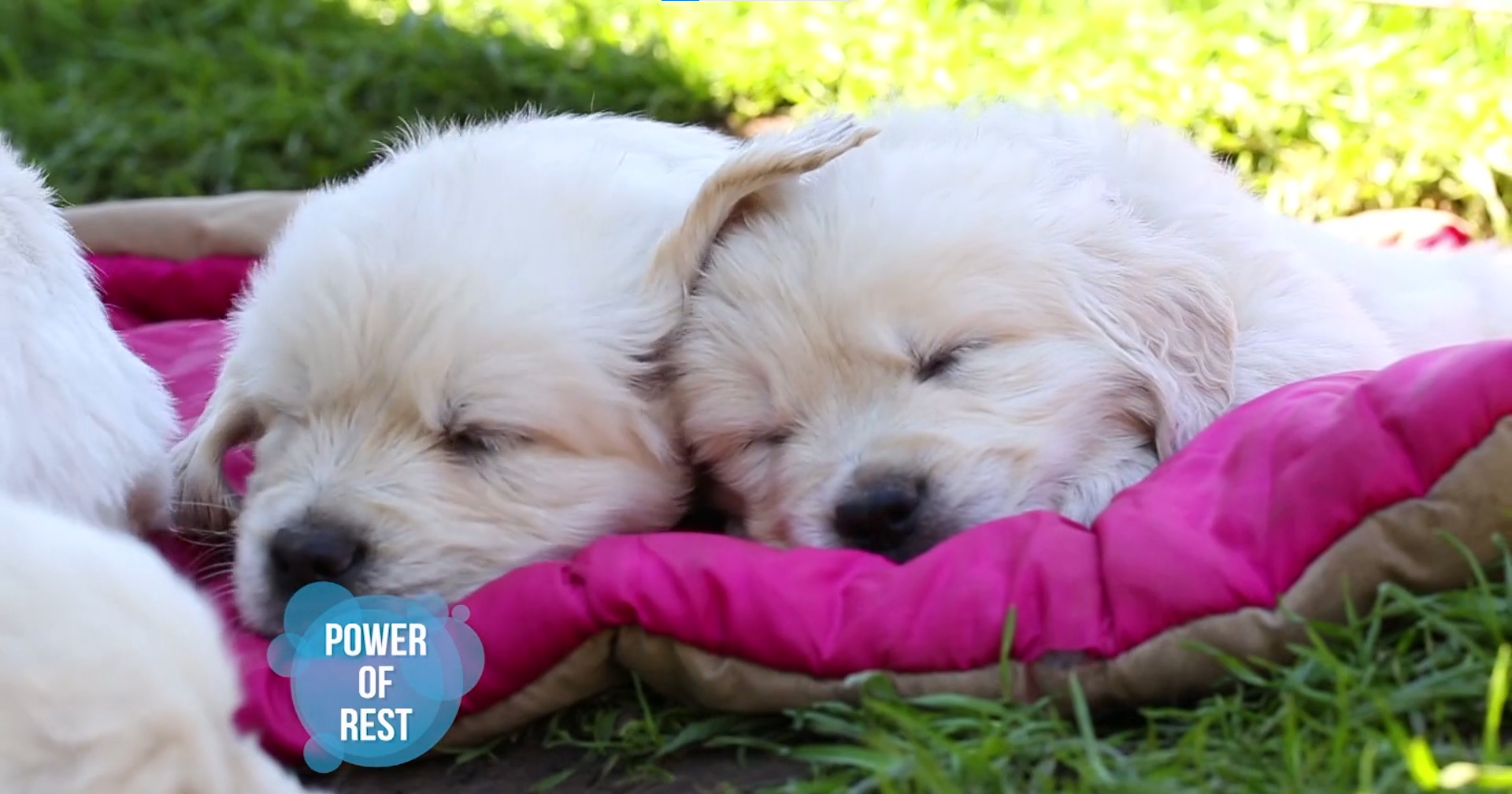 Your Financial Revolution: The Power of Rest, Part Four