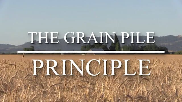 The Grain Pile Principle: The Process...